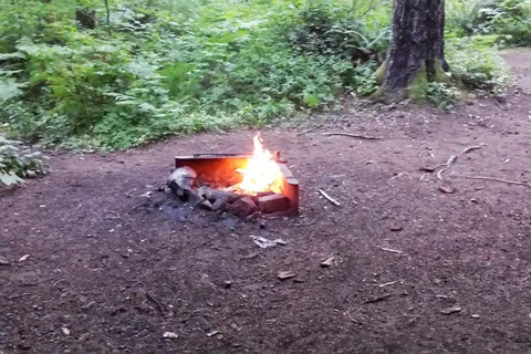 Tillamook State Forest - Stagecoach Horse Camp