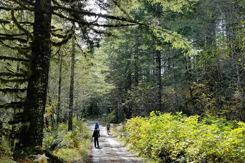 Tillamook State Forest - Stagecoach Horse Camp