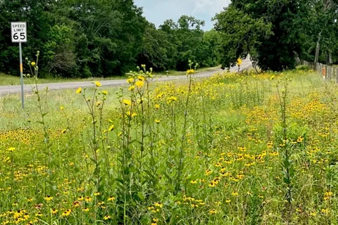 Birthplace of Texas RV Park