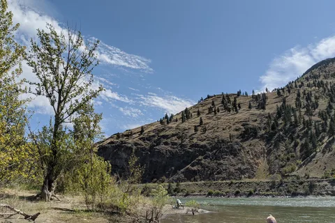 Acacia Grove RV Park and Cabins