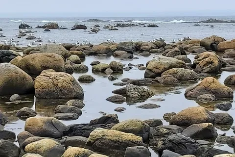 Green Point Campground - Gros Morne National Park
