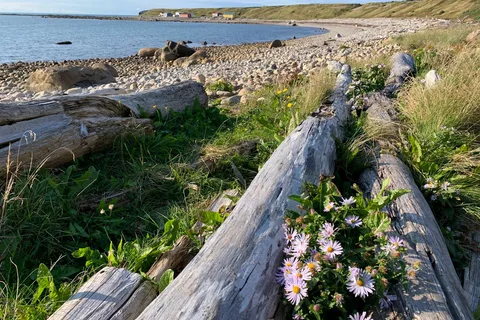 Green Point Campground - Gros Morne National Park