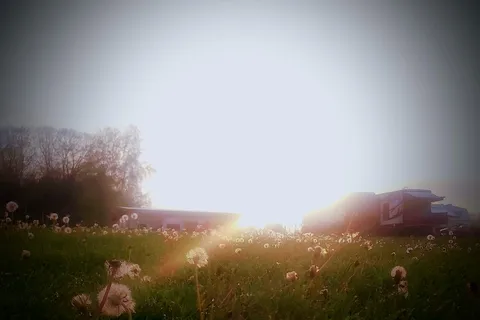 Skybrook Campground