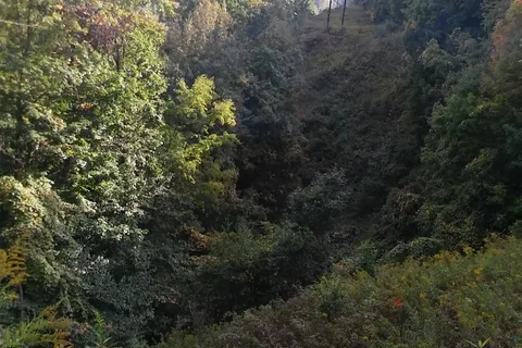 Skybrook Campground