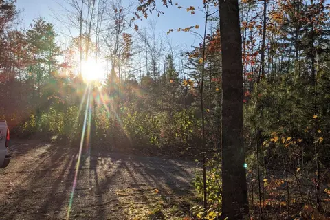 Borderline RV Park