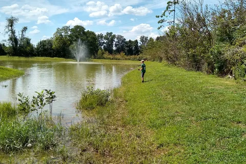 Dad's Bluegrass Campground