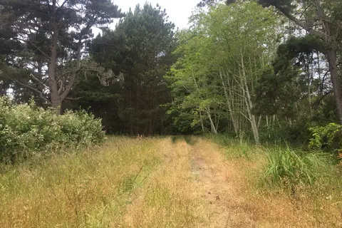 Cleone Campground | MacKerricher