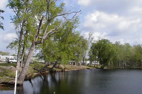 Tranters Creek Resort and Campground