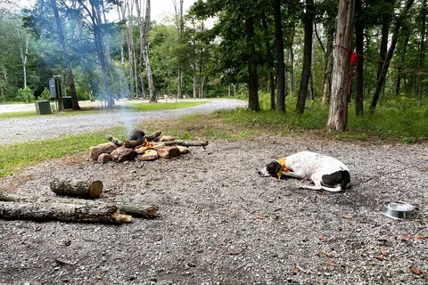 Endless Caverns RV Resort and Cavern Tours