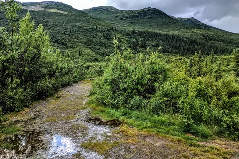 Denali RV Park and Motel