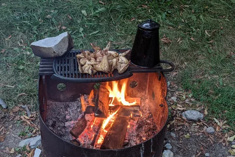 Craigleith Provincial Park