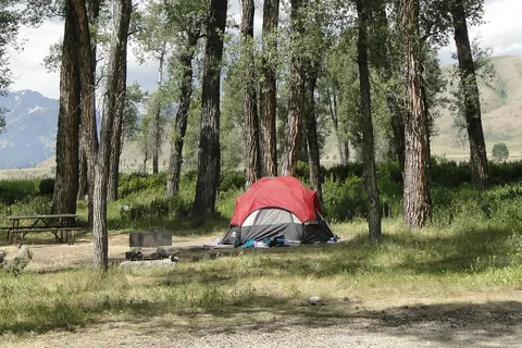 Gros Ventre Campground - Grand Teton National Park