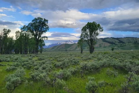 Gros Ventre Campground - Grand Teton National Park