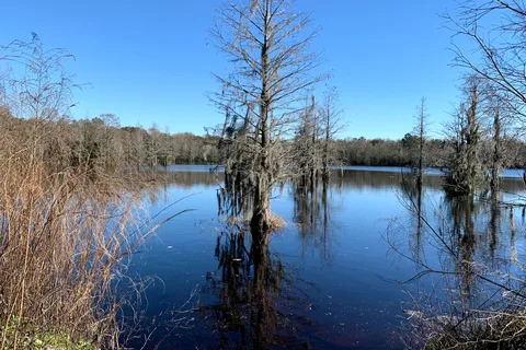 Ragans Family Campground in Madison, Fl