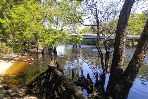 Givhans Ferry State Park