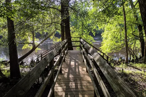 Givhans Ferry State Park
