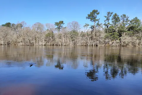 Givhans Ferry State Park