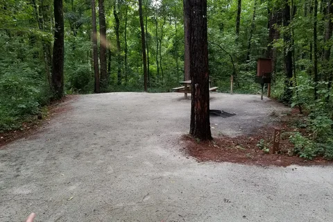 Givhans Ferry State Park