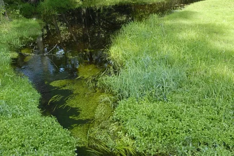 Gulliver's Lake RV Resort and Campground