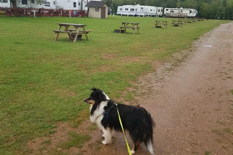 Seal Cove Campground