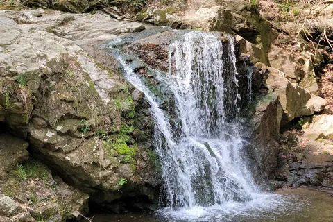 Patapsco Valley State Park - Hollofield Area