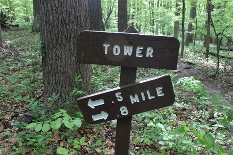 Patapsco Valley State Park - Hollofield Area