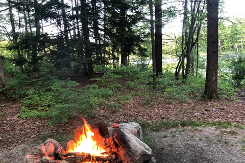 Calef Lake Camping Area
