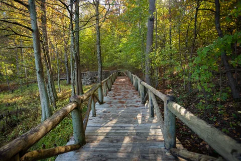 Crowley's Ridge State Park