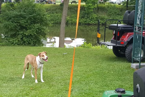 Mayfair Campground NY