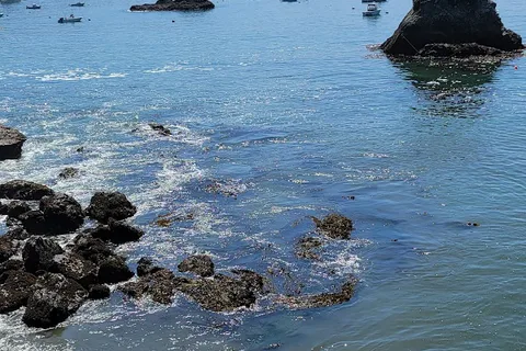 Sounds Of The Sea RV Park and Spa