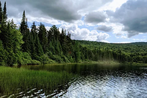 Lac Herman - Mont Tremblant Provincial Park