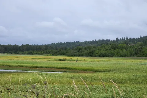Deep Creek State Recreation Area