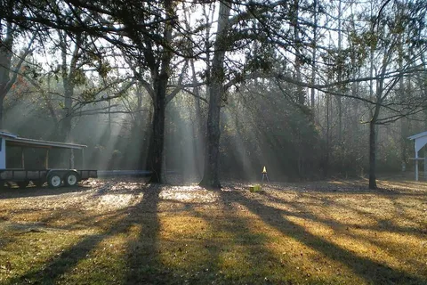 Frog Hollow Campground- RV Park