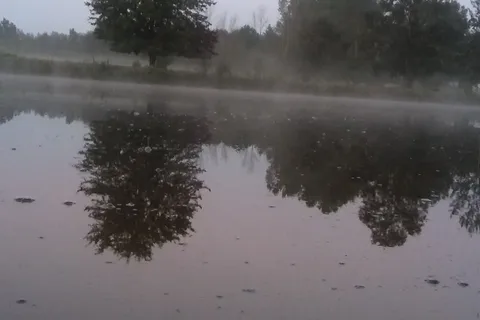 Taylors Lost Haven Campground