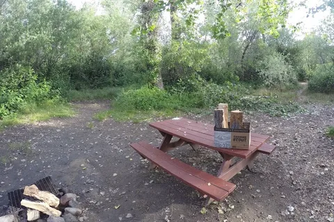 Camp Lotus