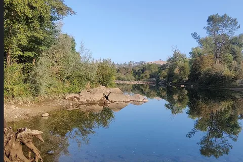 Camp Lotus