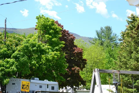 Dohertys Mountain Campground
