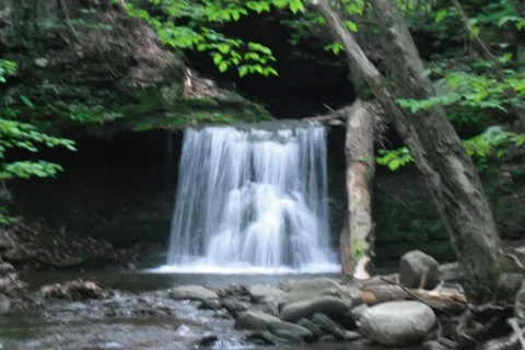 Dohertys Mountain Campground
