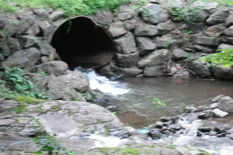 Dohertys Mountain Campground
