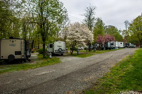 Fla-Net Park