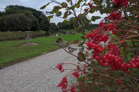 Chesaning Show Boat Campground