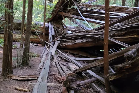 Humboldt Redwoods State Park