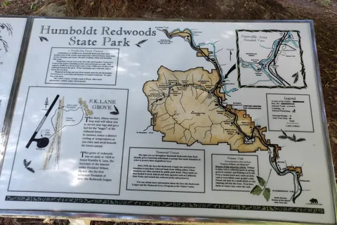 Humboldt Redwoods State Park