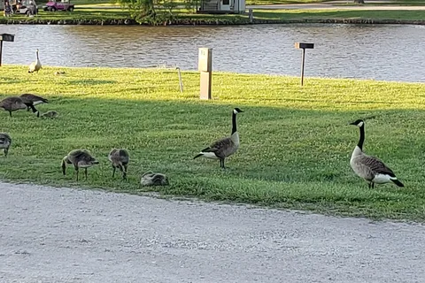 Spring Lake RV Resort