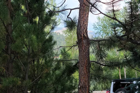 Questa Lodge and RV Park