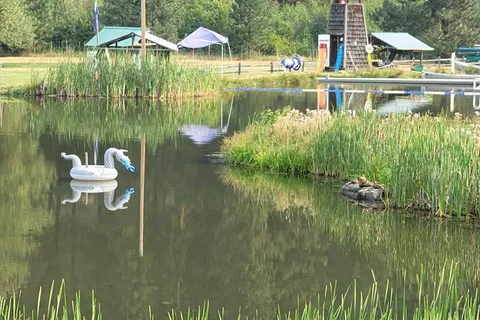 Camp Grizzly