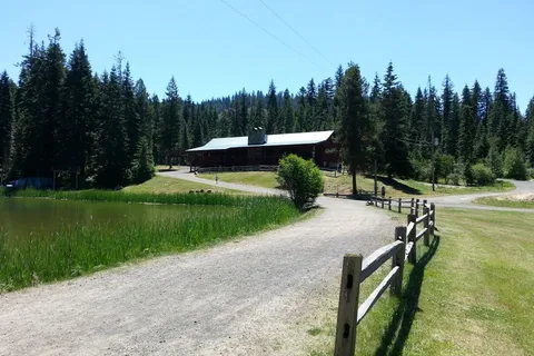 Camp Grizzly