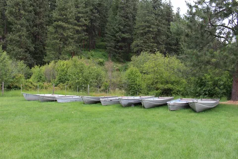 Camp Grizzly