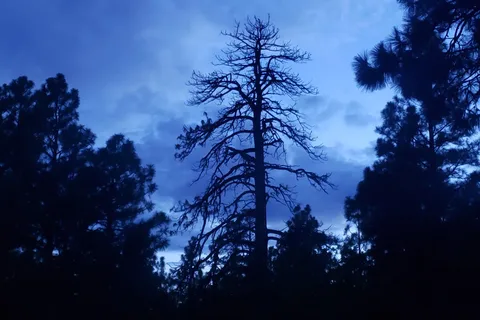 FLAGSTAFF RV Park