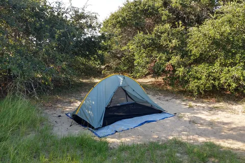 Frisco Campground - Cape Hatteras National Seashore